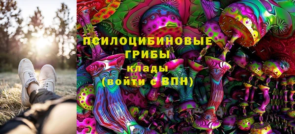 герыч Алексин