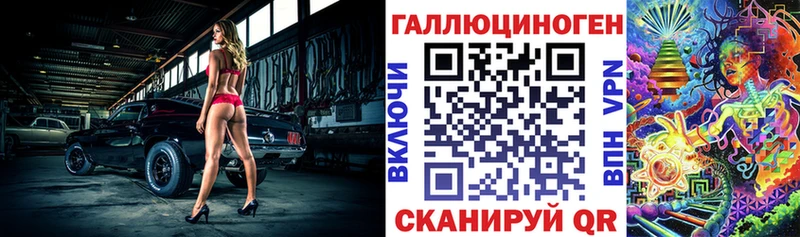 Псилоцибиновые грибы Psilocybe Лермонтов